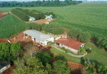 Chácara à venda zona rural, são miguel do iguaçu - pr