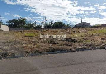 Terreno à venda 264m², residencial frangão, ibiporã - pr