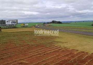 Excelente terreno 92mil metros quadrados, entre a cidade de rolândia e arapongas próximo a  grandes