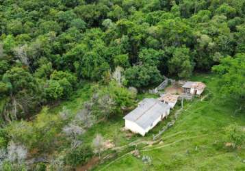 Terreno com 12 hectares em oliveira.