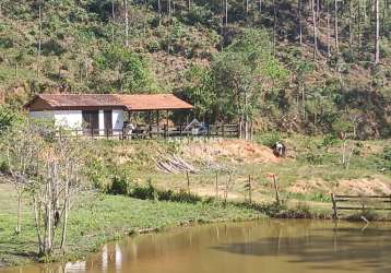 Sítio, em natividade da serra , há 14 km do centro - 13 alqueires