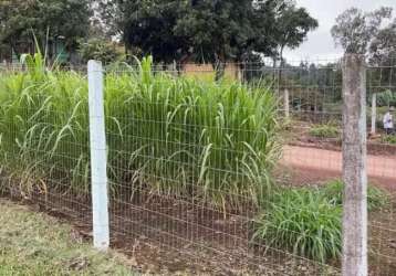 115530 chácara em rolante com 3 hectares, campo, mata nativa e mato de eucaliptos