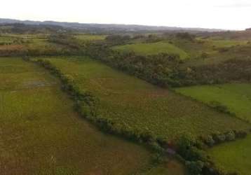 Fazenda para arroz, milho e gado em taquara com 30 hectares