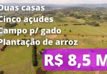 113390 fazenda escriturada para gado, arroz ou loteamento com rio, sede e 101 ha em parobé