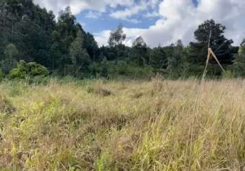 Sítio com vertente, rede elétrica, terra fértil para plantação e 14 hectares no caraá