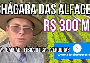 118446 chácara em araricá com casa, poço, vertente, fibra ótica e produção de verduras