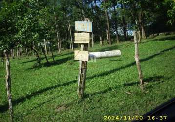 Area com 4.2 hectares, na lomba do pinheiro  com vista para o guaíba,, investimento certo, agende já a sua visita!