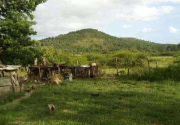 Área rural à venda em itapuã em viamão. &lt;br&gt;&lt;br&gt;com 26.1 hectares, com vista pra lagoa dos patos, com vertente, açude e figueiras.