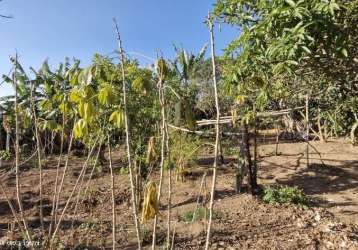 Terreno para venda em pinhalzinho, zona rural