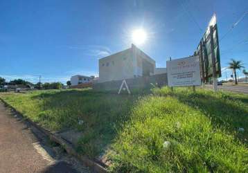 Terreno para locação no santa cruz em cascavel