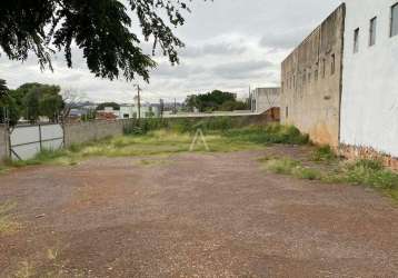 Terreno para locação no bairro cancelli em cascavel