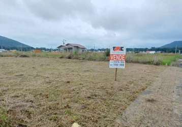 Terreno em loteamento em capri, são francisco do sul/sc