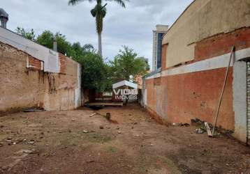 Vendo ou alugo terreno em campinas no cambui, com duzentos e noventa e cinco metros, rua com bom fluxo, perto da avenida coronel silva telles.