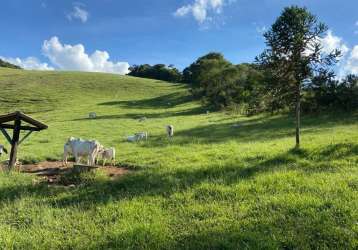 Vendo essa  linda fazenda  na cidade de coronel pacheco, mg.