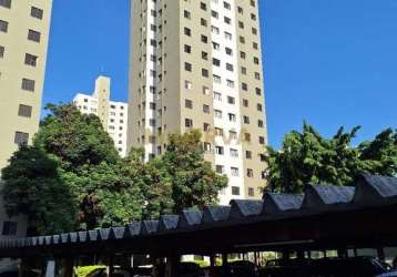 Apartamento - brás - são paulo sp