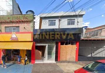 Lote / terreno - vila guilhermina  -  são paulo,sp