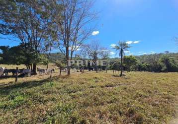 Fazenda à venda em caldas novas e pires do rio, boa pecuária