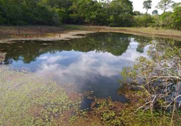 Fazenda à venda 319 hectares em nossa senhora do livramento - mt .