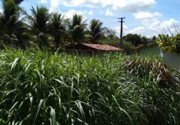 Granja para venda mobiliada possui 400 metros quadrados com 3 quartos em centro - conde - pb