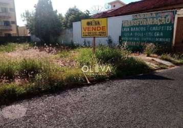 Terreno, 341 m² - venda por r$ 250.000,00 ou aluguel por r$ 1.550,00/mês - vila angélica - são josé do rio preto/sp