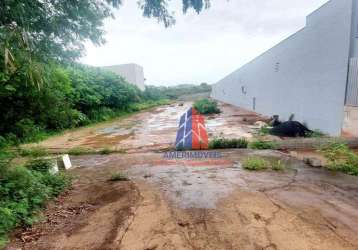 Terreno para alugar, 6000 m² por r$ 13.000,00/mês - loteamento industrial machadinho - americana/sp