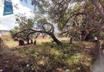 Terreno à venda, 1600 m² por r$ 2.500.000,00 - lagoa sapiranga (coité) - fortaleza/ce