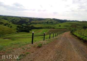 Fazenda à venda, 33 alqueires por r$ 6.600.000 - zona rural - palmital/pr