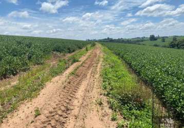 Fazenda para venda em itapetininga, centro