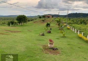 Fazenda para venda em cumaru do norte, 000