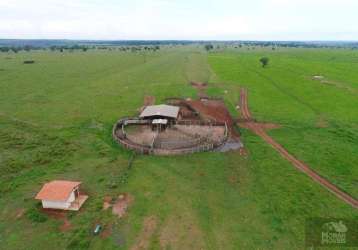 Fazenda para venda em cassilândia, (fazendinha)