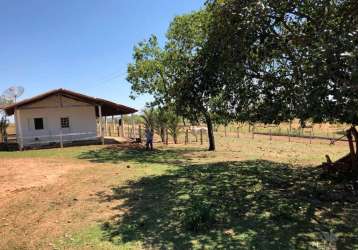 Fazenda para venda em presidente olegário, centro