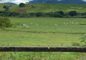 Fazenda para venda em itajubá, boa vista