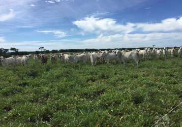 Fazenda para venda em pedras de maria da cruz, (fazendinha)