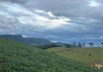 Fazenda para venda em lambari, 0000