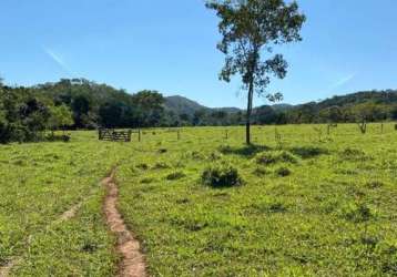 Fazenda para venda em paracatu, santana