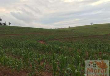 Fazenda para venda em são paulo, vila moinho velho