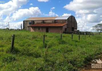 Fazenda para venda em torixoréu, 000