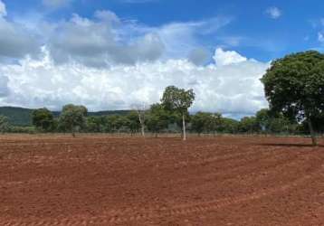 Fazenda município de cáceres mt