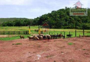 Fazenda à venda, 2.420 ha  por r$ 42.000.000,00- zona rural - planalto da serra/mt