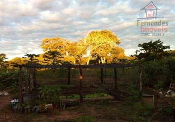 Fazenda à venda, 1.030 há r$ 25.000.000 - zona rural - cáceres/mt