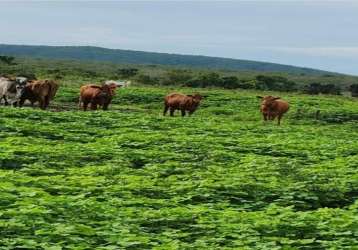 Fazenda com 1.043 alqueires dupla aptidão em são valério da natividade -to