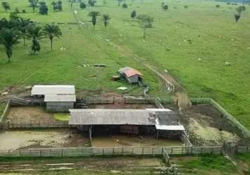 Fazenda com 220 alqueires dupla aptidão no município de são félix do xingu - pa