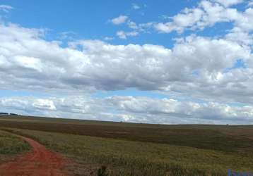 Fazenda com 805 hectares para arrendamento agrícola na região de serranópolis - go