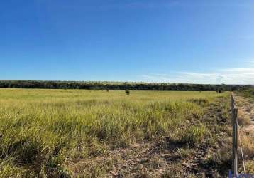 Fazenda dupla aptidão com 548 alqueires em nova lacerda - mt