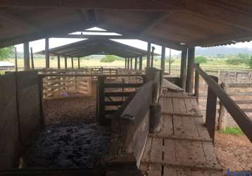 Fazenda com 1.042 alqueires dupla aptidão em são félix do xingu-pa