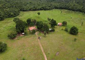 Fazenda com 254 alqueires para pecuária no município de miranorte - to