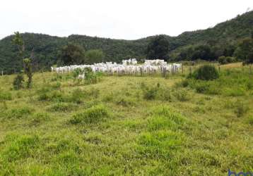 Fazenda dupla aptidão 600 alqueires em paraíso do tocantins-to