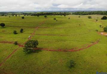 Fazenda com 51 alqueires dupla aptidão no município de jussara - go