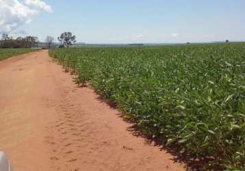 Fazenda com ótimo aproveitamento para agricultura com 300 alqueires em baliza-go