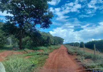 Fazenda com 9 alqueires em uberlândia-mg